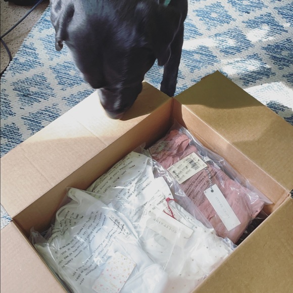 Meet Your Posher, Paxton! - Picture 10 of 15